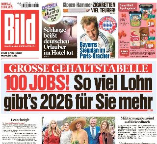 Bild (Germania)