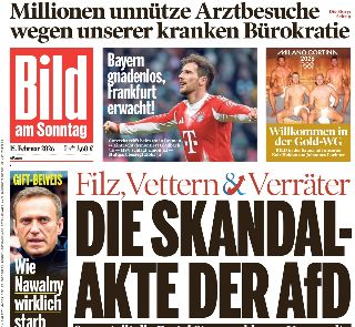 Bild (Germania)