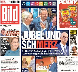 Bild (Germania)
