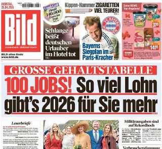 Bild (Germania)