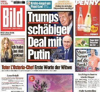 Bild (Germania)