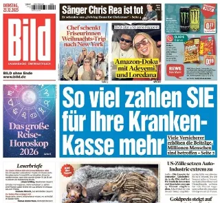 Bild (Germania)