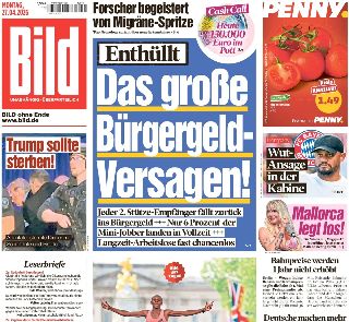 Bild (Germania)