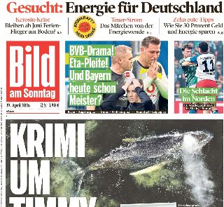 Bild (Germania)