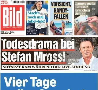 Bild (Germania)