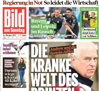 Bild (Germania) Bild (Germania)