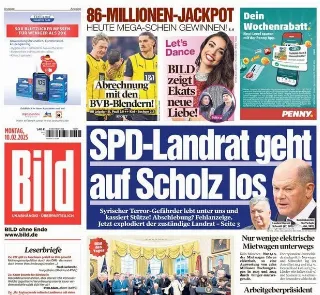 Bild (Germania)