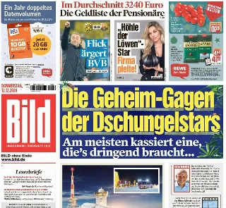 Bild (Germania)