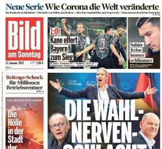 Bild (Germania)