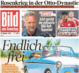Bild (Germania)