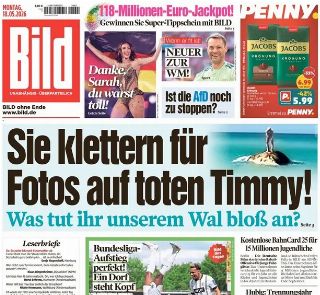 Bild (Germania)