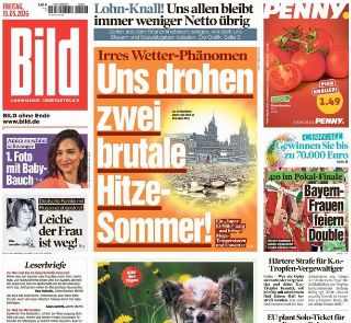 Bild (Germania)