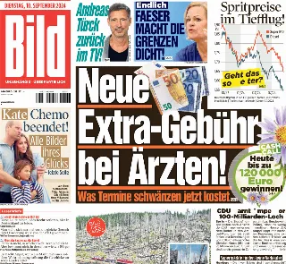 Bild (Germania)