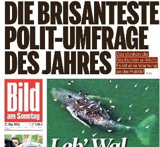 Bild (Germania)