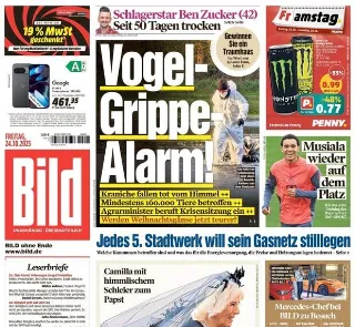 Bild (Germania)