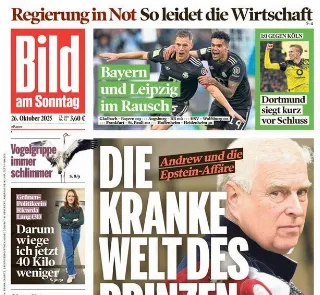 Bild (Germania)