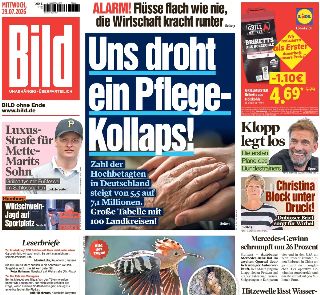 Bild (Germania)