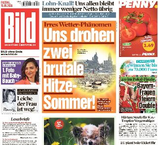 Bild (Germania)