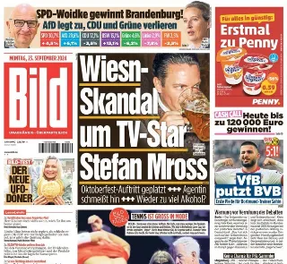 Bild (Germania)