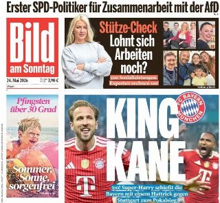 Bild (Germania)