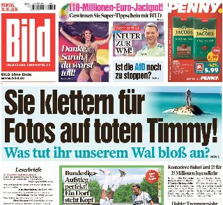 Bild (Germania)