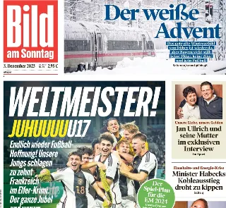 Bild (Germania)