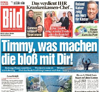 Bild (Germania)