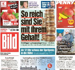 Bild (Germania)