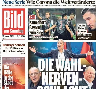 Bild (Germania)