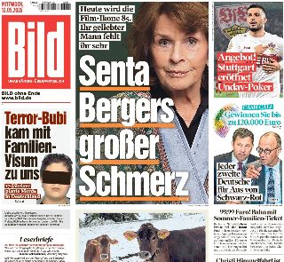 Bild (Germania)