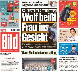 Bild (Germania)