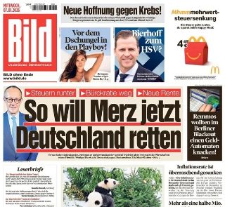 Bild (Germania)