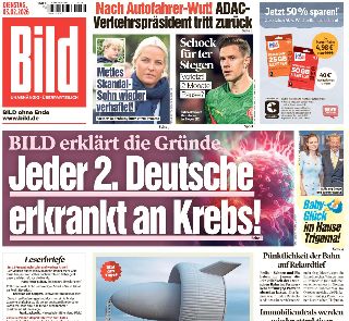 Bild (Germania)