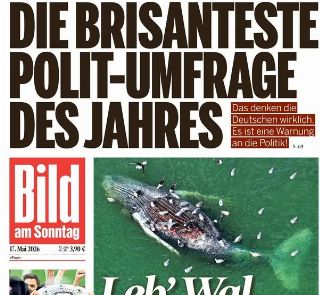 Bild (Germania)