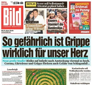 Bild (Germania)