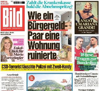 Bild (Germania)