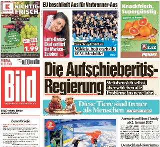 Bild (Germania)