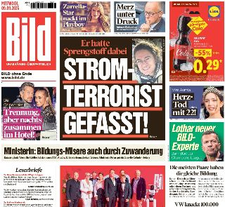 Bild (Germania)
