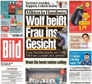 Bild (Germania)