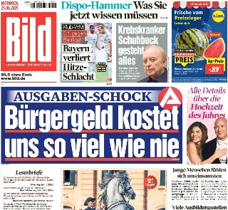 Bild (Germania)