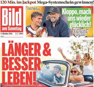 Bild (Germania)