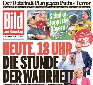 Bild (Germania)