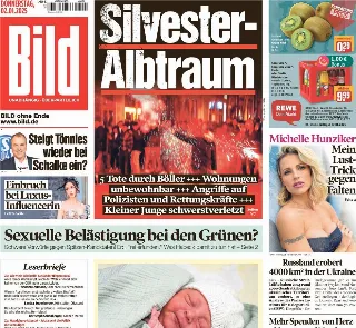 Bild (Germania)