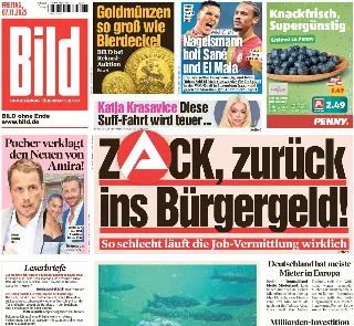 Bild (Germania)