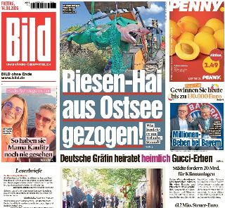 Bild (Germania)