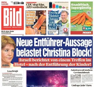 Bild (Germania)