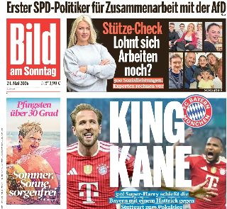 Bild (Germania)