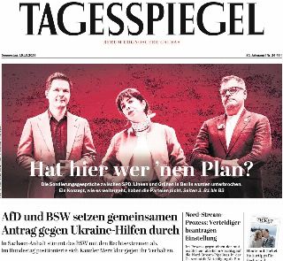 Der Tagesspiegel (Germania)