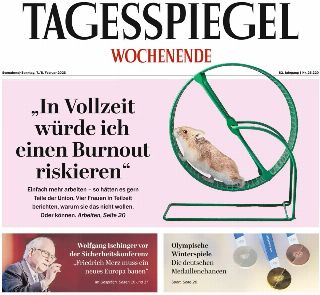 Der Tagesspiegel (Germania)