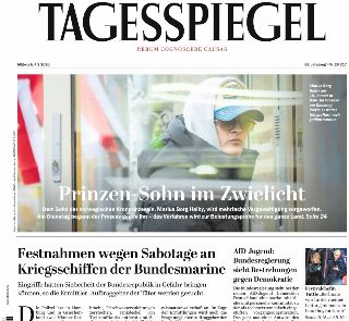 Der Tagesspiegel (Germania)